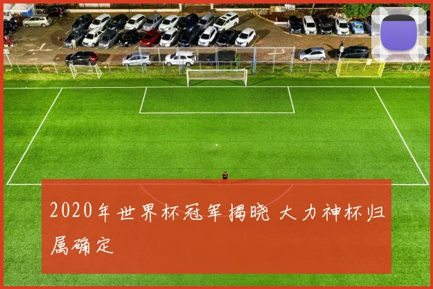 2020年世界杯冠军揭晓 大力神杯归属确定
