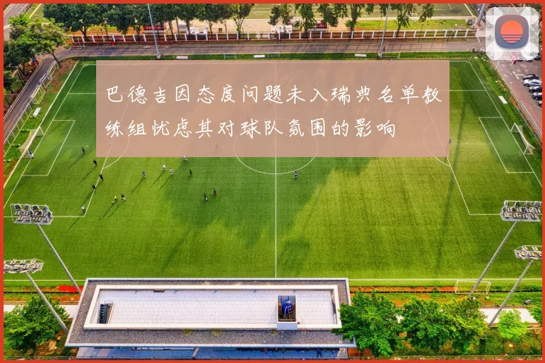 巴德吉因态度问题未入瑞典名单教练组忧虑其对球队氛围的影响