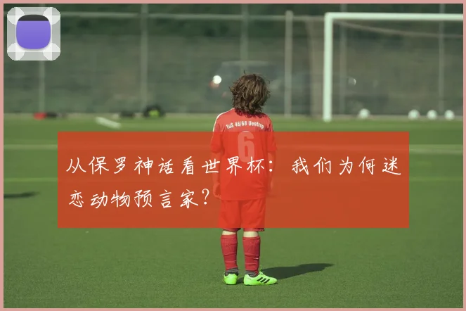 从保罗神话看世界杯：我们为何迷恋动物预言家？